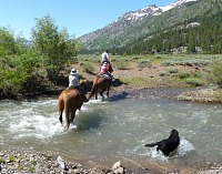 Little brooks turned into mighty creeks this year. Little brooks turned into mighty creeks this year.