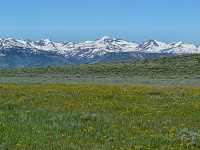 Sierra Nevada from our hill. Sierra Nevada from our hill.