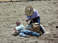 Gentlemen had to first knock the calf down and tie it up. Gentlemen had to first knock the calf down and tie it up.