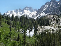 Running away into the cool wilderness. Running away into the cool wilderness.