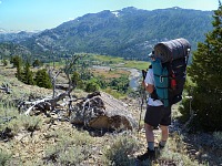 Martin over Leavitt Meadows. Martin over Leavitt Meadows.
