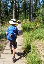 There are many springs and brooks on the eastern side of the park; parts of the trail cross a swamp There are many springs and brooks on the eastern side of the park; parts of the trail cross a swamp