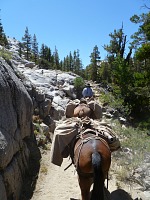We set out to our almost traditional horse ride. We set out to our almost traditional horse ride.