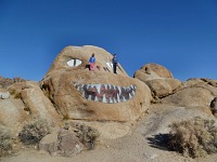 Kids on the Dragon. Kids on the Dragon.