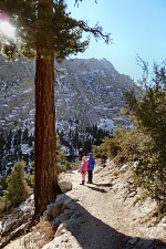 A trail to Mt. Whitney.