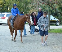 Christmas get-together at the stables.