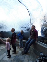 We interleaved skiing by a visit to an aquarium.