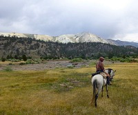 Leavitt Meadows Leavitt Meadows