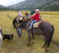 A stop on a horse ride on Leavitt Meadows A stop on a horse ride on Leavitt Meadows