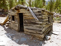 Gold prospector cabin near Virginia Lakes Gold prospector cabin near Virginia Lakes