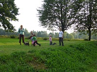 A pack chasing a cat.