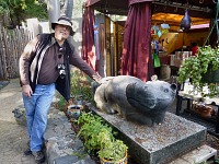 The only two specimen of hippos at this safari.