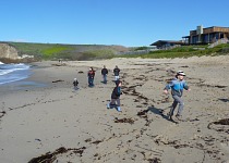 An expedition to the beach.