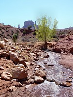 Onion Creek, Nuns and Priest, Utah.