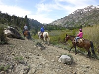 Kolem Leavitt Meadows. Kolem Leavitt Meadows.