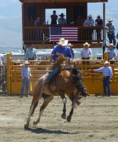 Bronco Bronco