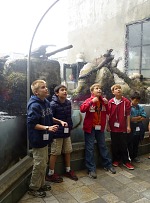 A field trip to Monterey Aquarium A field trip to Monterey Aquarium