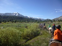 Horse ride at Leavitt Meadows. Horse ride at Leavitt Meadows.