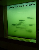 Such windows let you see into the depths of the ladder. Such windows let you see into the depths of the ladder.