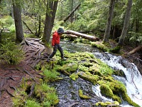 Tom headed for the edge of Clearwater Fall. Tom headed for the edge of Clearwater Fall.