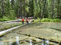 Wet-foot water-crossing competition. Wet-foot water-crossing competition.