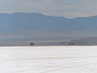 Between salt and Interstate 80. Between salt and Interstate 80.