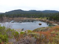 Point Lobos. Point Lobos.