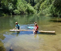 A log is trapped in a pool on San Lorenzo river, and the kids can play with it for hours and hours. A log is trapped in a pool on San Lorenzo river, and the kids can play with it for hours and hours.