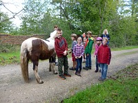 We participated in a geocaching bout with a bunch of friends around the horse stables. We participated in a geocaching bout with a bunch of friends around the horse stables.