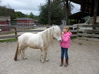 Lisa has learned to deal with the anxious little horse. Lisa has learned to deal with the anxious little horse.