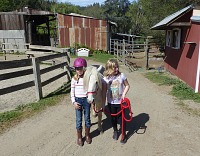 In the midst of goat craziness, we don't forget our ponies. In the midst of goat craziness, we don't forget our ponies.