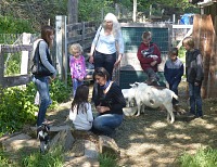 I had spend the first half of my birthday in a goat pen. I had spend the first half of my birthday in a goat pen.