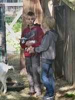 Walker the baby goat does not mind at all that the human boys talk about tank game battles. Walker the baby goat does not mind at all that the human boys talk about tank game battles.