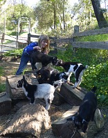 Goat whisperer. Goat whisperer.