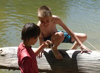 A crayfish. A crayfish.