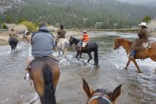A popular commotion while fording Walker River.