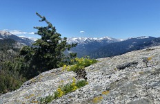 Sierra Nevada z Morro Rock.