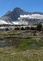 Flowers blossom on meadows of Twenty Lakes Basin; North peak in background.