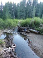 Lisa and Tom playing by the creek at our favorite Oregon camp site.