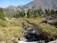 A little creek above Coony Lake.