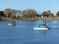 Pedal boats at Shorline Park. Pedal boats at Shorline Park.