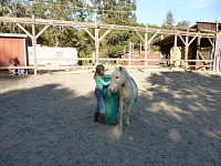 Sugar with Lisa is not afraid of anything, not even a spooky tarp.