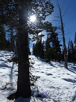First snow in Carson Pass. First snow in Carson Pass.