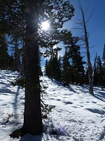 First snow in Carson Pass.