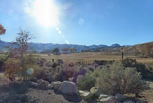 A morning view from the lodge.