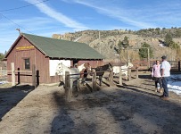 Winter at the pack station.