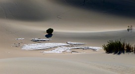 A still life between the Death Valley sand dunes.