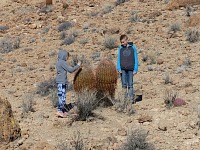 Mojave is a typical desert with little cactuses.