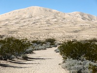 Kelso Dunes - the highest hill looks within reach.