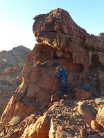 Scullcap.